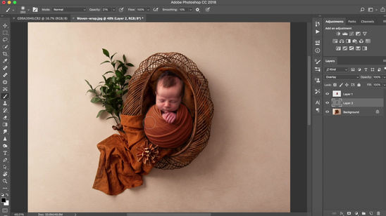composite 1